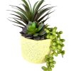 Moka Home Plantas Artificiales | Plantas