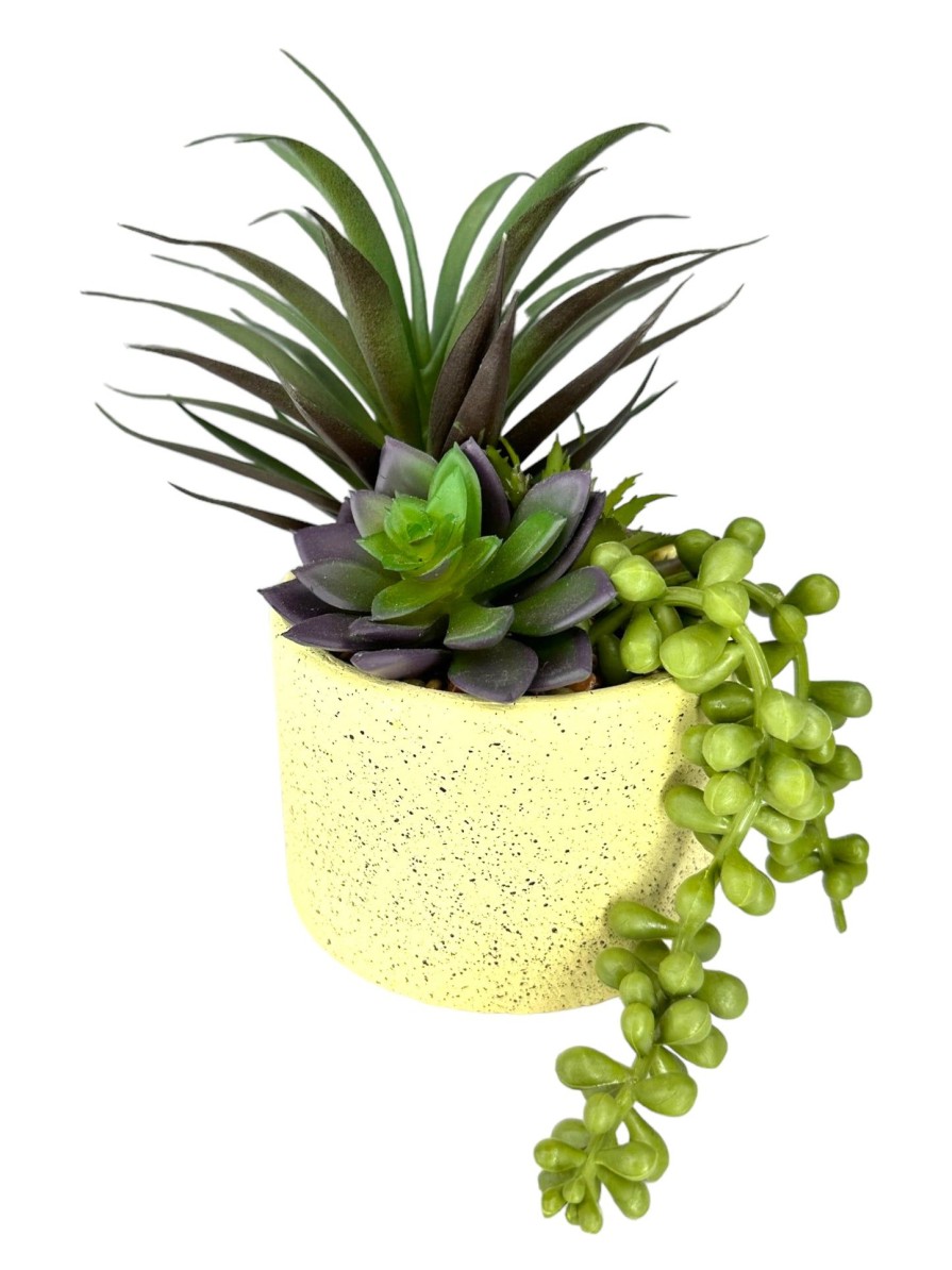 Moka Home Plantas Artificiales | Plantas