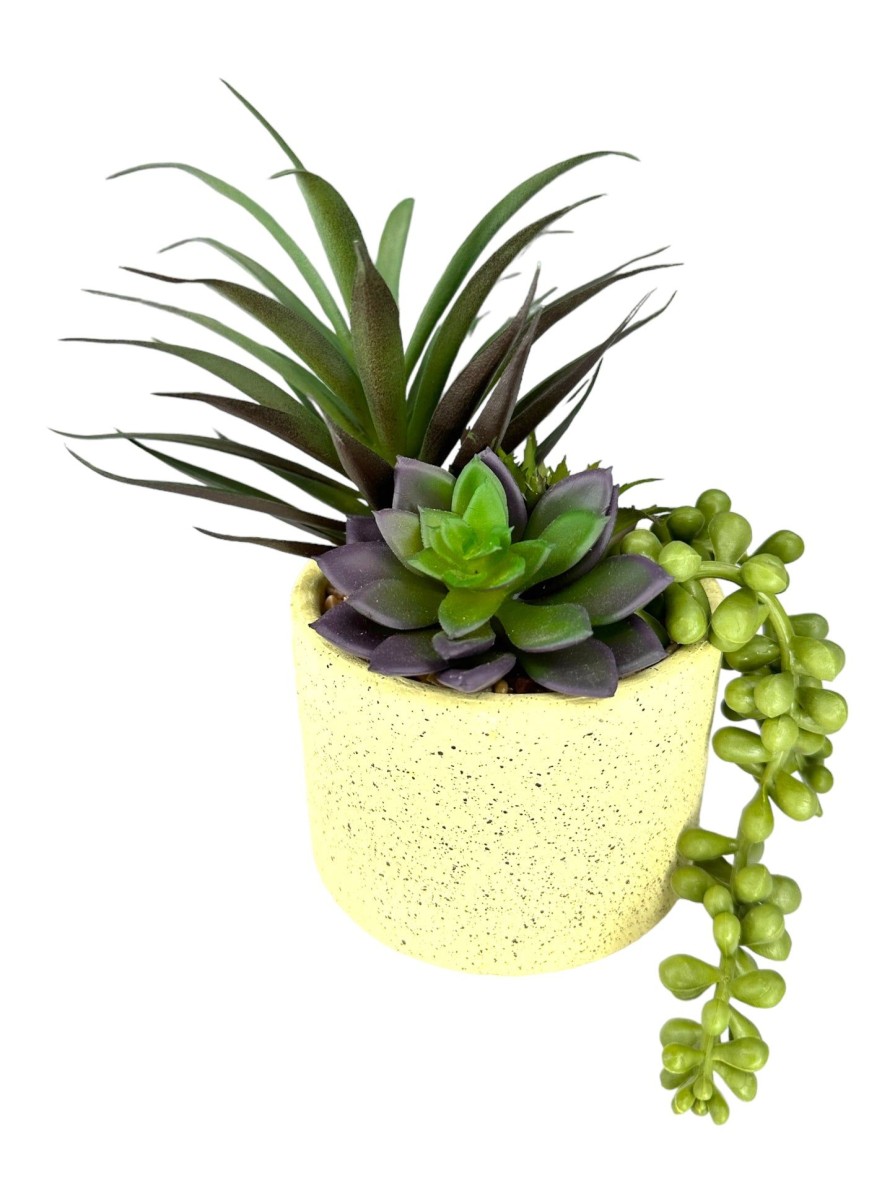 Moka Home Plantas Artificiales | Plantas