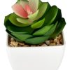 Moka Home Suculenta Surtido | Plantas