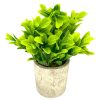 Moka Home Plantas Artificiales | Plantas