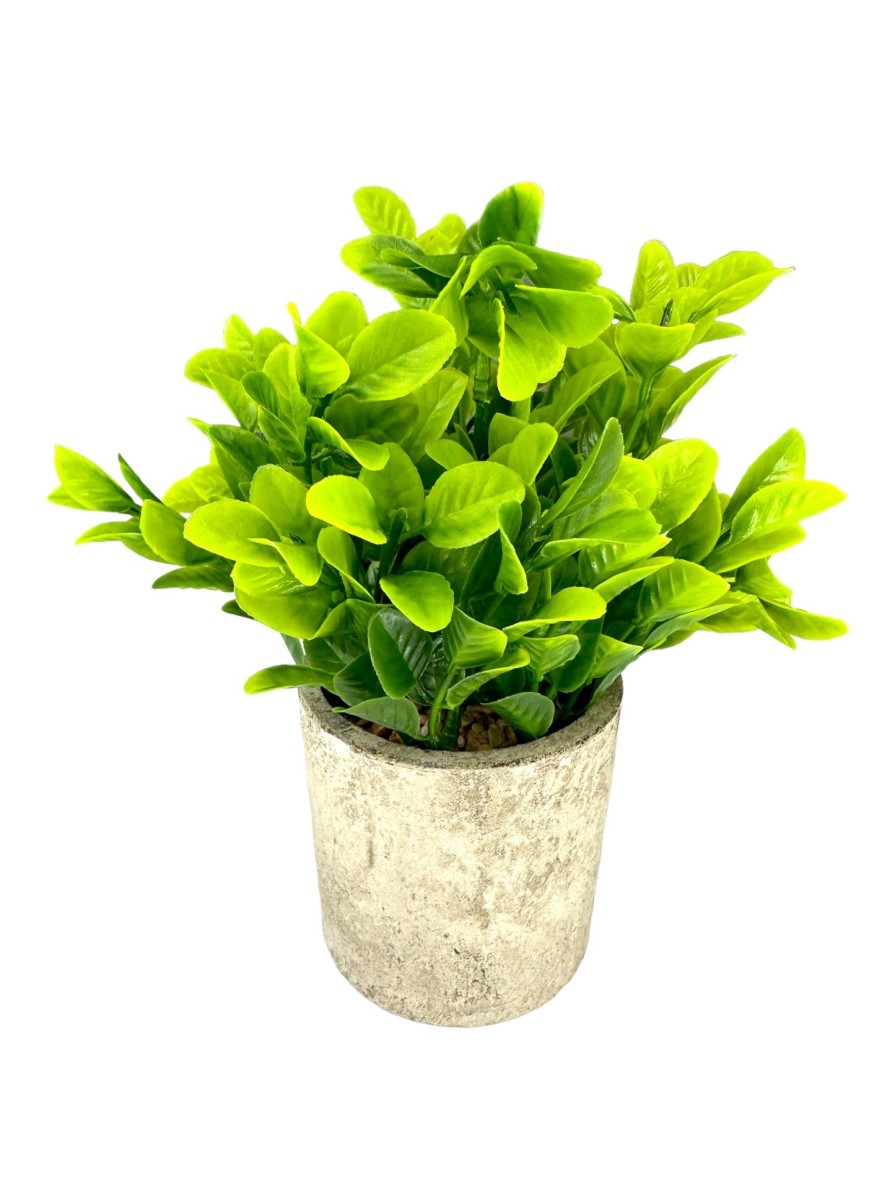 Moka Home Plantas Artificiales | Plantas