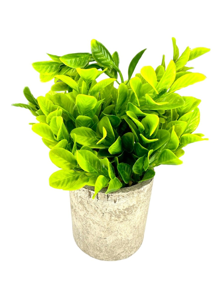 Moka Home Plantas Artificiales | Plantas