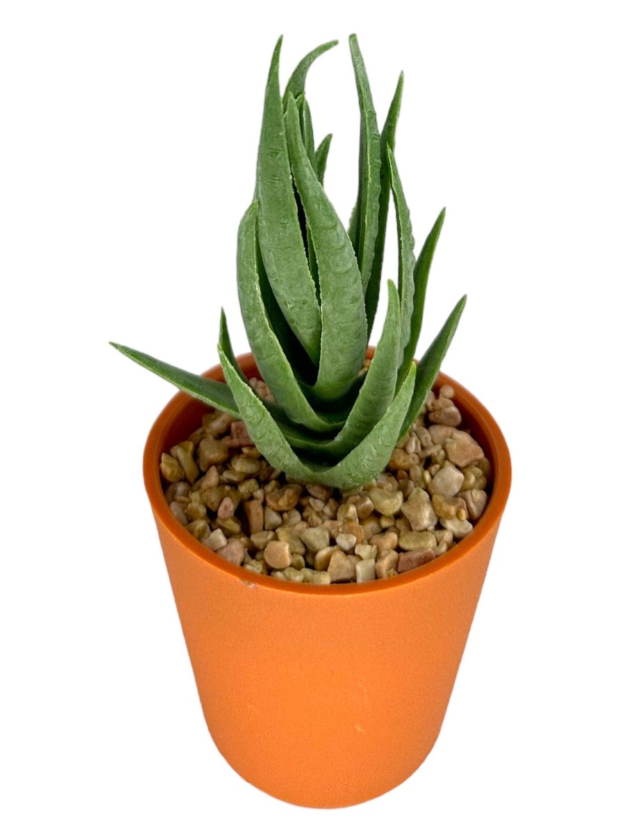 Moka Home Plantas Artificiales | Plantas