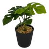 Moka Home Plantas Artificiales | Plantas