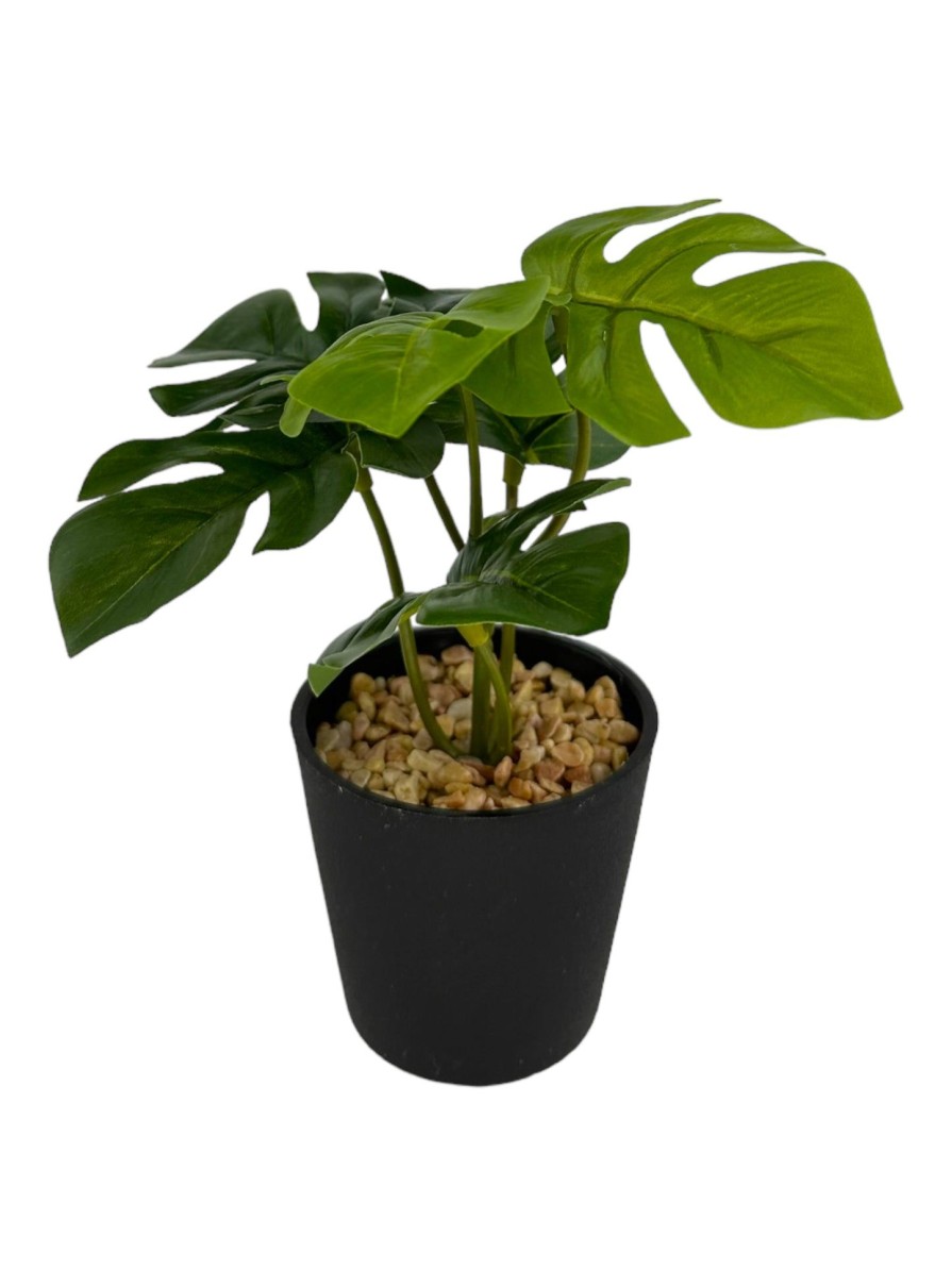 Moka Home Plantas Artificiales | Plantas