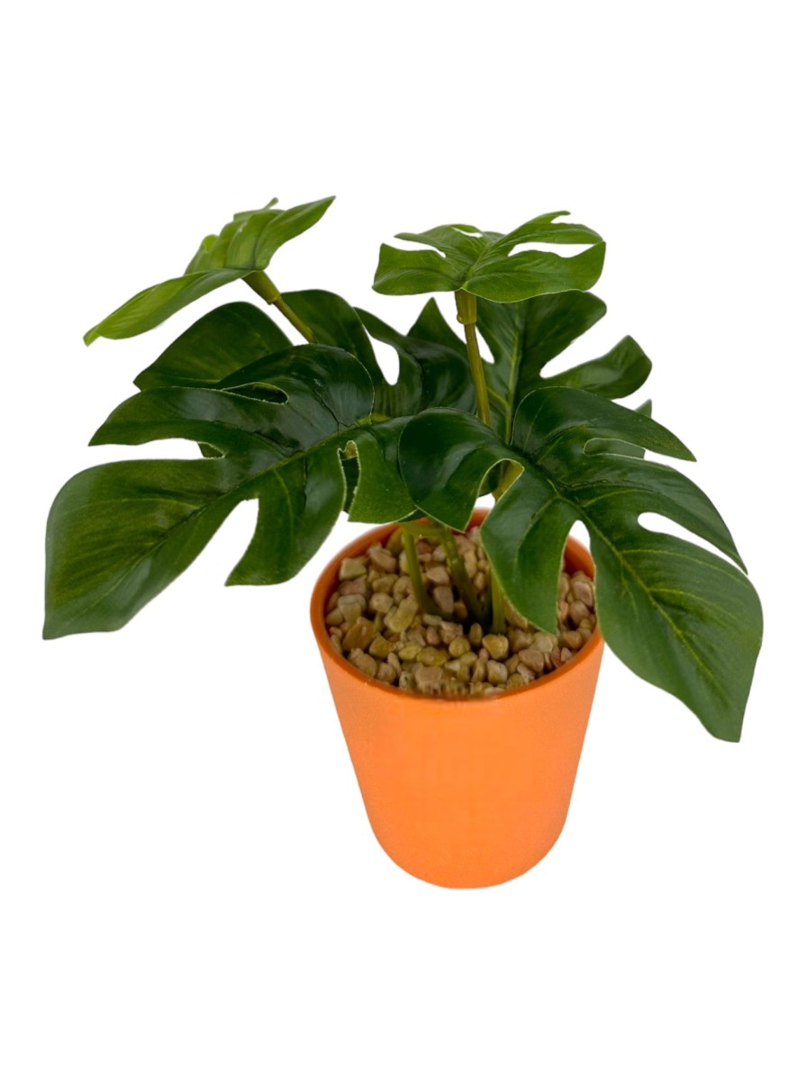 Moka Home Plantas Artificiales | Plantas