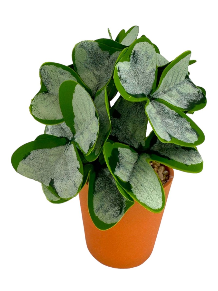 Moka Home Plantas Artificiales | Plantas