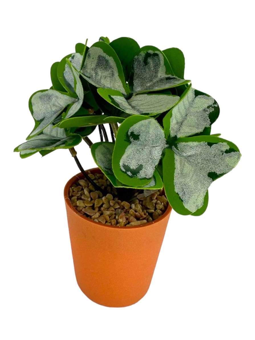 Moka Home Plantas Artificiales | Plantas