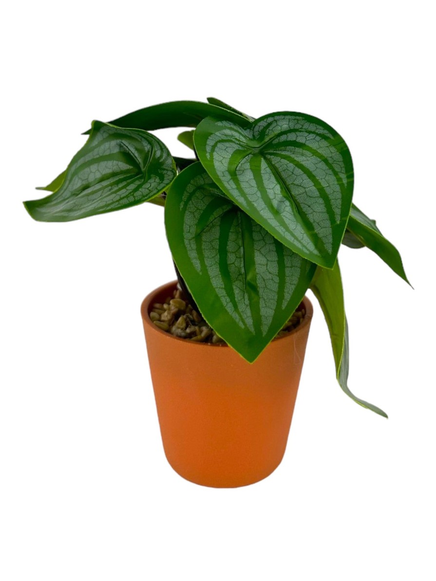 Moka Home Plantas Artificiales | Plantas