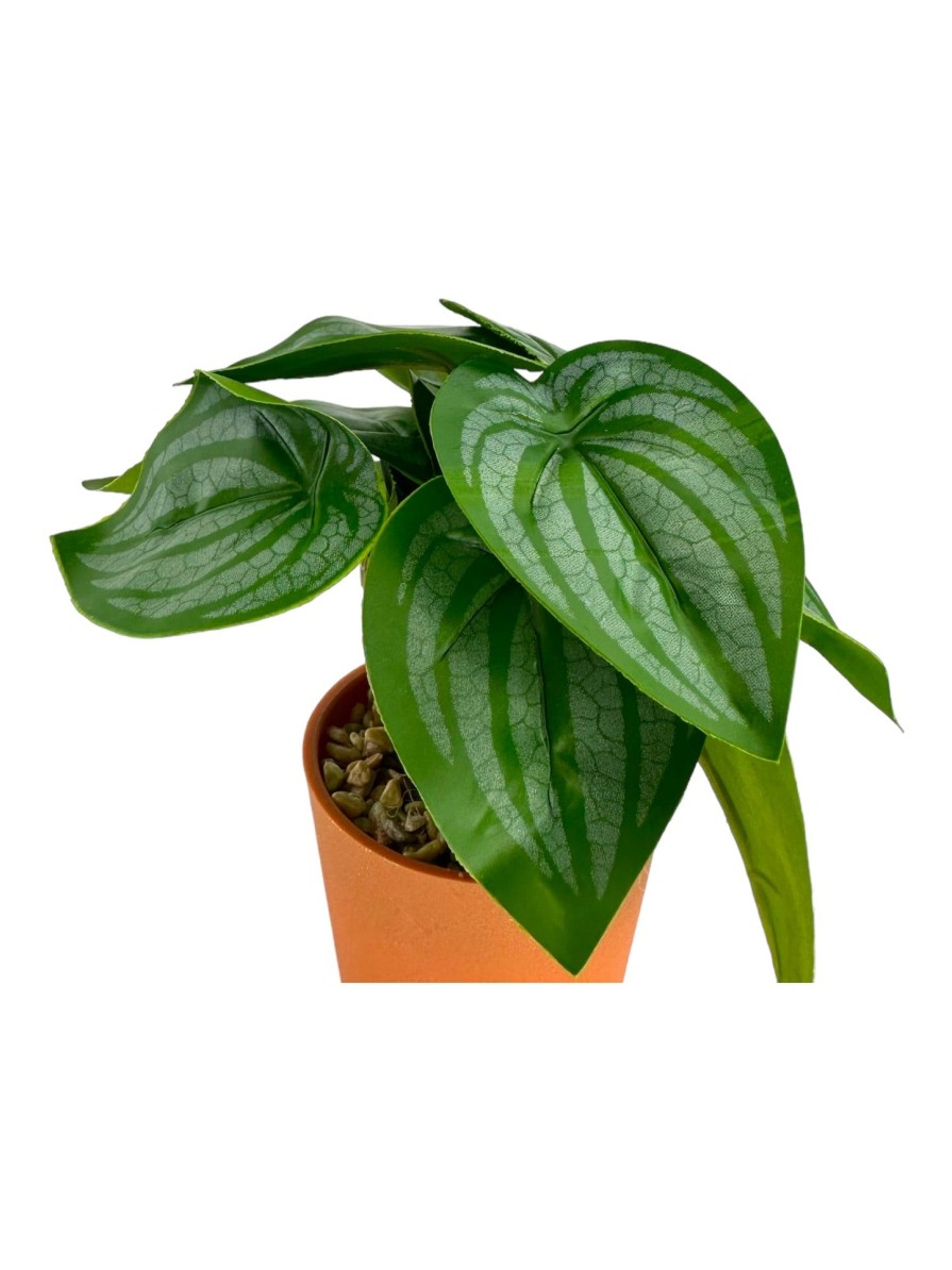 Moka Home Plantas Artificiales | Plantas